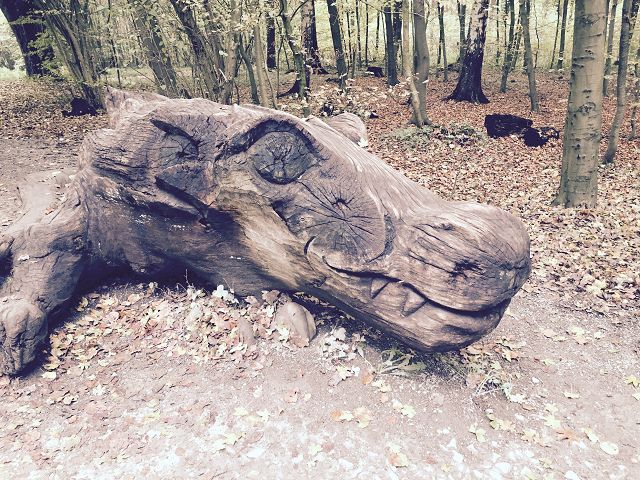 Horn-Bad-Meinberg-2015