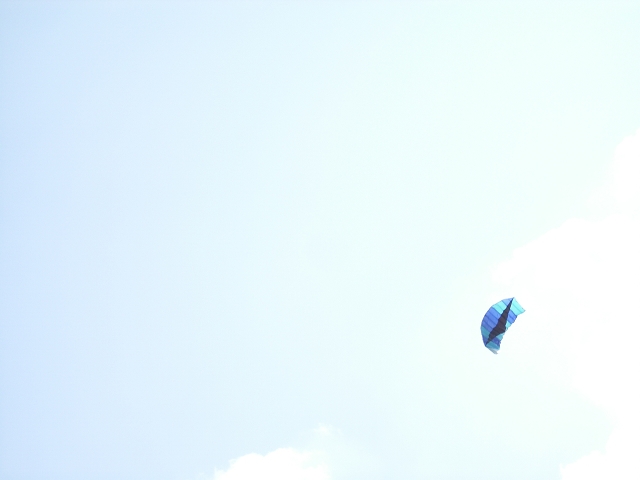 Schiederstausee 2010