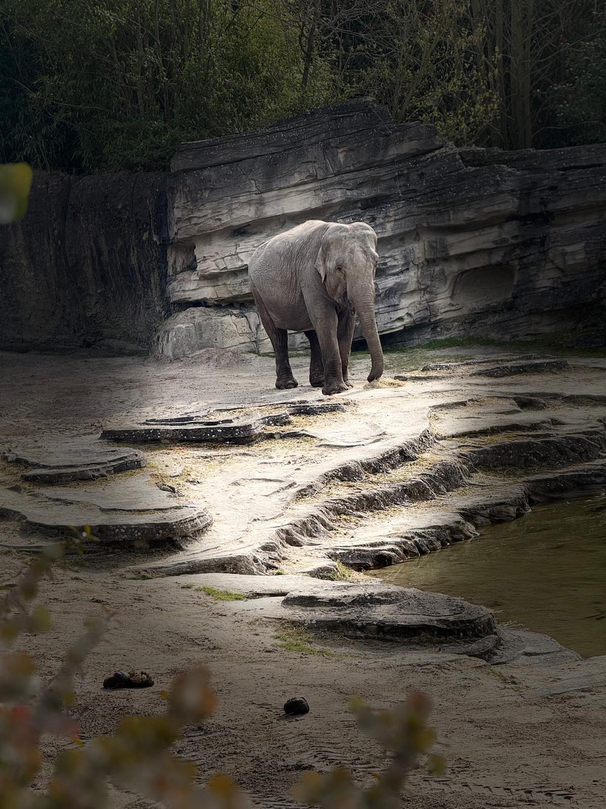 Über die Osterfeiertage 2026 ging es für uns mit dem Wohnmobil in die Niederlande nach Emmen – eine ideale Kombination aus Natur, Erholung und Erlebnis. Unser Zuhause auf Zeit war der idyllische Minicamping Emmen : ruhig gelegen, großzügig angelegt und mit einer angenehm persönlichen Atmosphäre. Genau der richtige Ort, um abzuschalten 